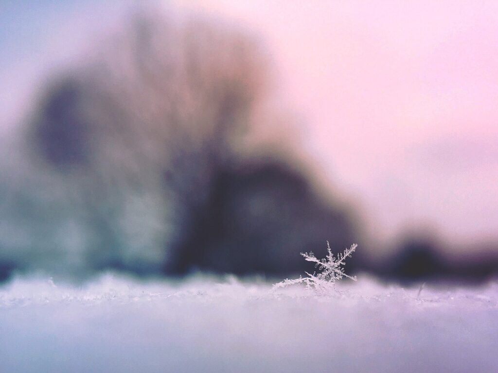 snowflake, ice, nature, snow, winter